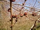 DSC00005