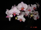 DSC02647