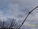 100_7804