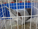 DSCN0163