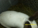 Picture 070