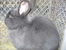 DSCN0193