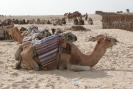 Tunisia_357