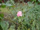 DSC00269