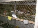 SANY0271