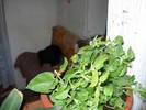 DSC09522