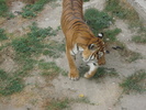 Picture 040