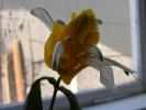 DSCF1727