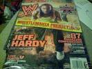 jeff_hardy_no_way_out_2009