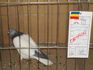 DSC04907