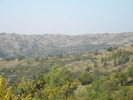 DSCN3054