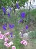 PICT0021