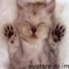 animale__avatare-cu-pisicute-50_jpg_85_cw85_ch85
