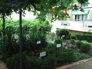 DSCF0682