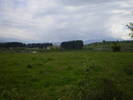Poze 027