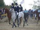 Picture 141