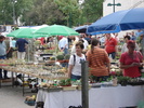 DSC09873
