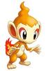 chimchar