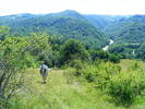 DSCF2395