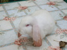 DSCF3862