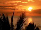 webshots186