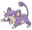 019rattata