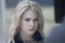 rosalie-hale[1]
