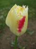 DSCF1056