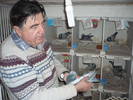 DINICU ALEXANDRU VALENTIN  tel.:0726750251