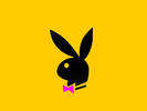 Pink Glitter Playboy Bunny Graphics