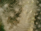 DSC09561