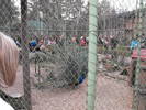 Picture 240