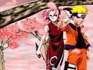 Naruto@Sakura_xl[1]