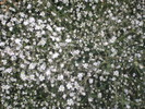DSCI0873