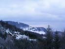 DSCF7623
