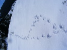 DSCF6957