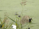 DSCN0566