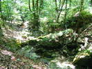 DSCF4650