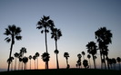 993_venicebeach_1440x900