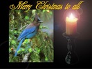 Christmas Wallpapers (575)