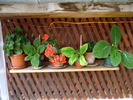 P1000235