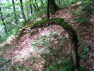 DSCF5368