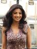 Shilpa_Shetty_1245323310