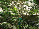 DSC05575