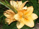 DSC00056