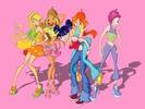 1winx