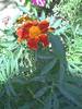 PICT0054
