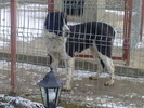 Fotografii-0018