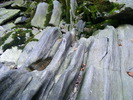 DSCF5235
