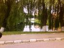 DSC05581